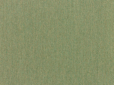 Sunbrella Fern furniture fabric. Item number 5487-0000